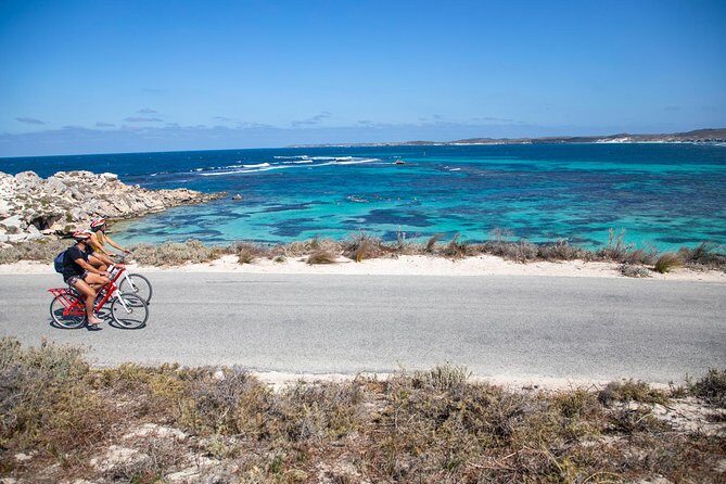 Experience Rottnest with Ferry & Bike Hire - The Itinerary in Detail