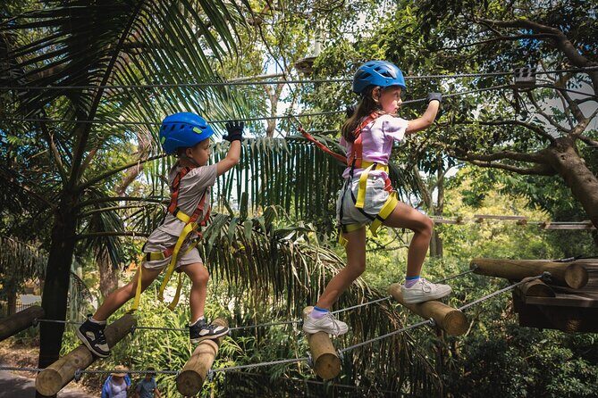 Explore Ourimbah State Forest Junior Tree Ropes Course - The Value of Supervision and Safety Measures