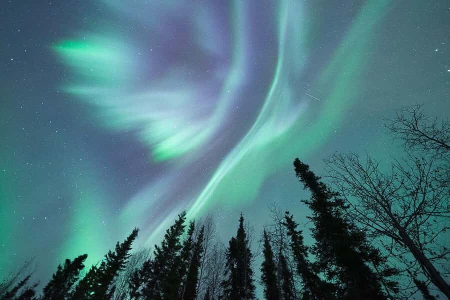 Fairbanks: Aurora Viewing Lodge - The Itinerary: A Step-by-Step Breakdown