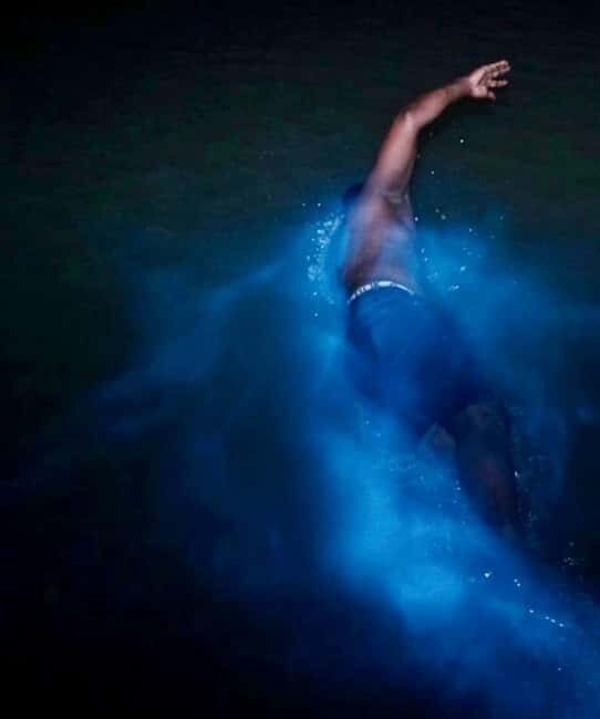 Falmouth: Luminous Lagoon Night Experience - Who Should Consider This Tour?