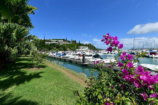 FAMOUS Local Green Train Noumea (01h30) - Value and Who Should Book This Tour