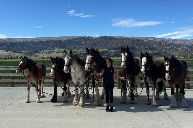 Farm & Wine Experience Fun Experience from Queenstown New Zealand - Who Will Enjoy This Tour?