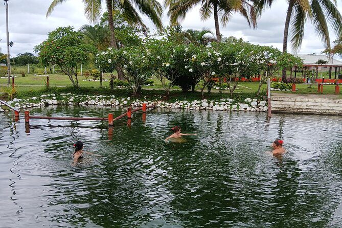 FIJI Official Tifajek MudPool & Hotspring Entry Fee Tickets Only - Who Will Enjoy This Tour?