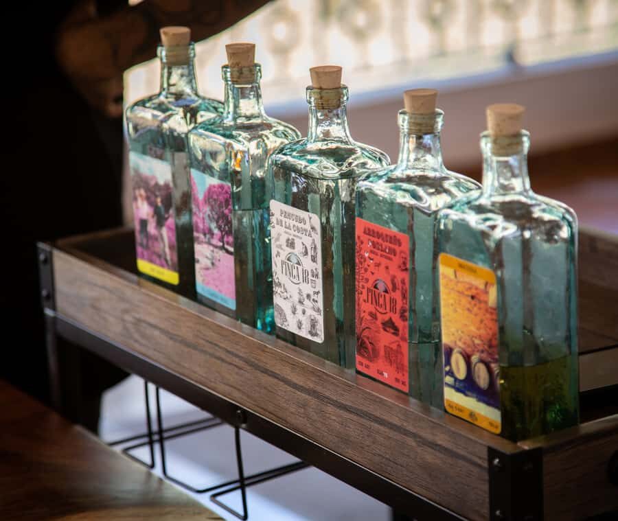 Finca 18 Tequila Tour w/ Chocolate Pairing + Pickup Point - Who Will Love This Tour?