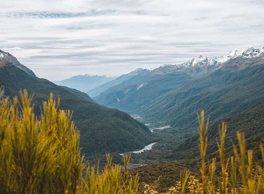 Fiordland: Routeburn Track and Key Summit Guided Day Walk - Why This Tour Stands Out