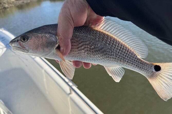 Fishing Charters in Mount Pleasant - Who Will Love This Tour?