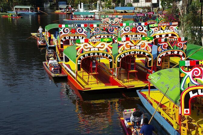 Frida Kahlo Xochimilco and University City - Who Is This Tour Best For?