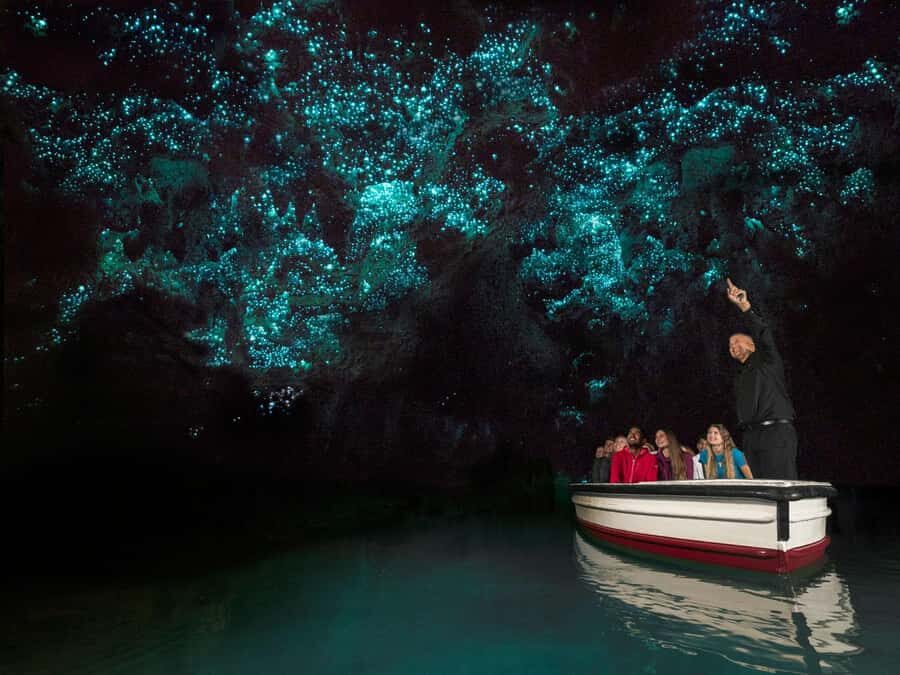 From Auckland: Waitomo Glowworm Cave Tour - Arriving at the Caves: What to Expect