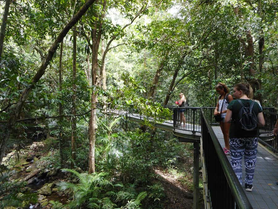From Cairns: 2-Day Waterfall and Daintree Tour - The Practicalities: How It Works