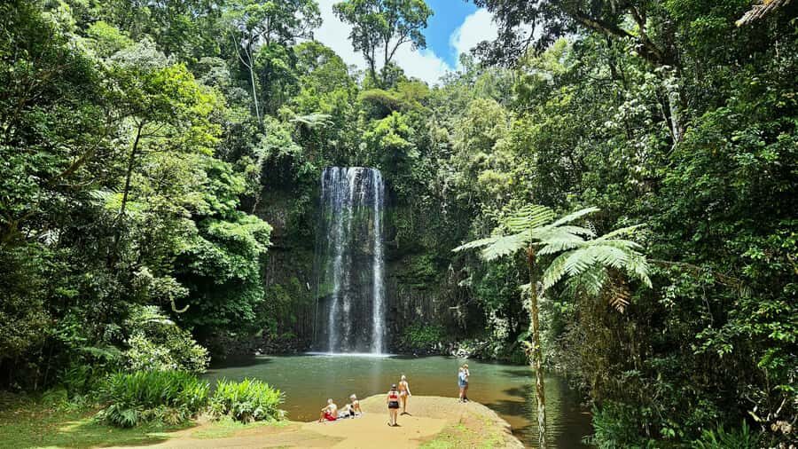 From Cairns: Atherton Tablelands and Paronella Park Day Trip - Transportation, Group Size, and Overall Value