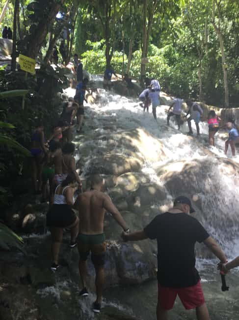From Falmouth: Dunn's River Falls and Ocho Rios Day Trip - What Travelers Say