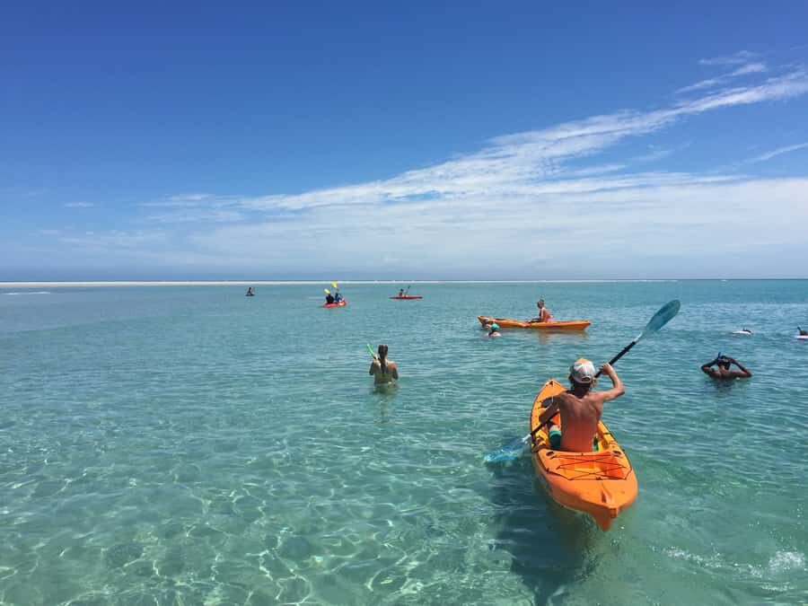 From Hervey Bay: Half-Day K'gari Fraser Island Beach Cruise - The Land on Fraser Island: Beaches and Water Activities