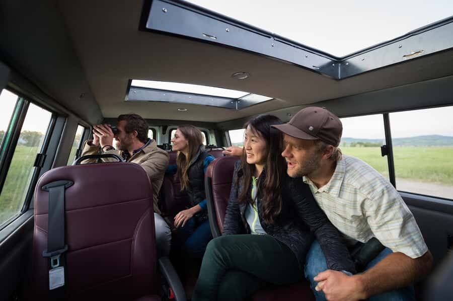 From Jackson: 4-Hour Eco Safari in Grand Teton National Park - The Vehicle and Viewing Experience