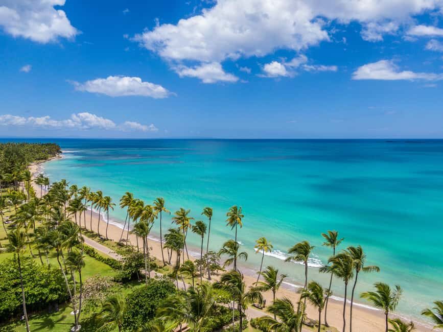 From Los Melones: Saona Island Day Trip with Lunch - Detailed Review: What to Expect on the Los Melones Saona Island Trip