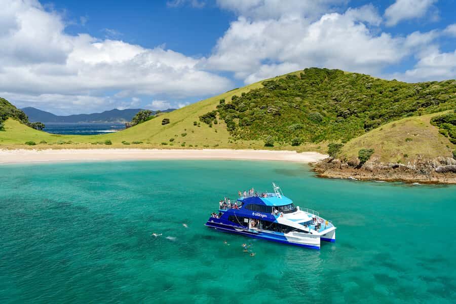 From Paihia: Full-Day Bay of Islands Cruise - Real Traveler Experiences: What People Are Saying