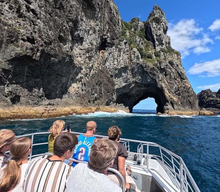 From Paihia: Scenic Cruise with Roberton Island Stopover - Why This Tour Works for You