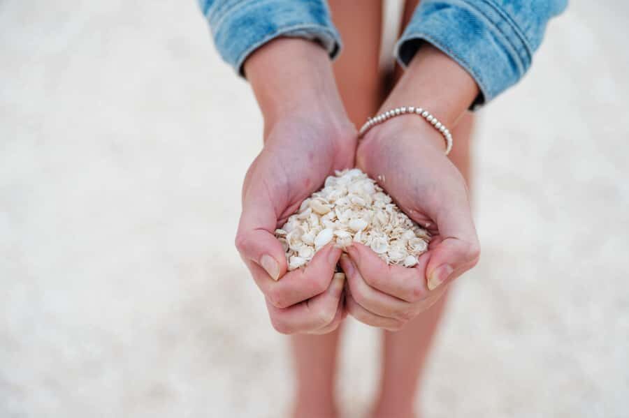 From Perth: Pinnacles Lobster Shack and Yanchep Day Trip - Exploring the Itinerary in Detail