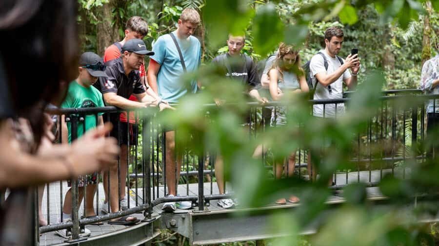 From Port Douglas: Daintree Rainforest & Mossman Gorge Tour - The Crocodile Cruise: Wildlife in Action