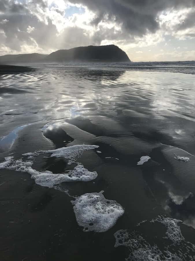 From Portland: Oregon Coast Scenic Day Tour - Transport and Group Size