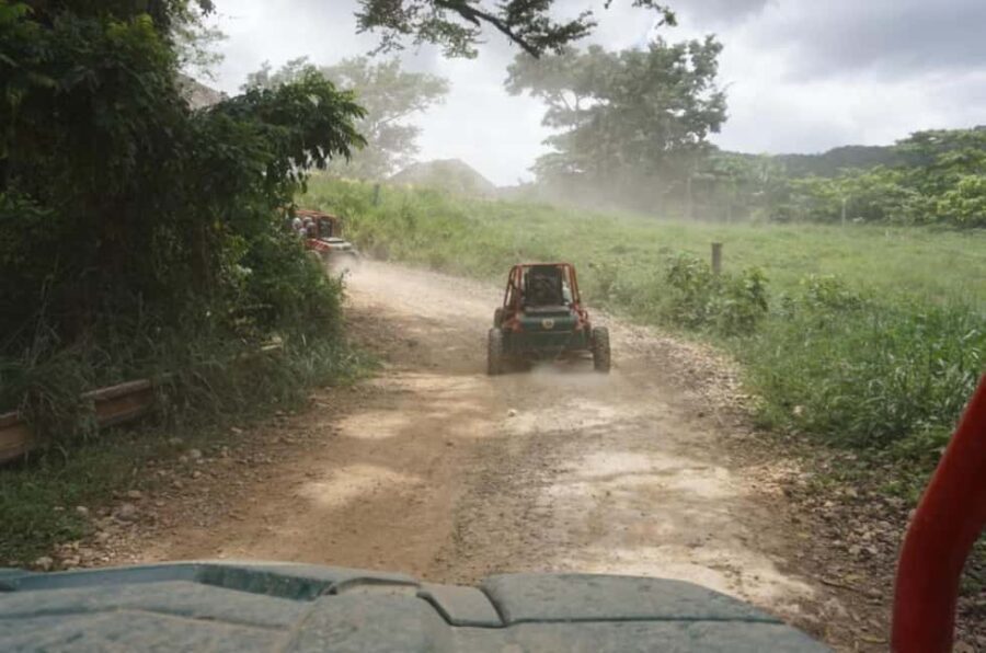 From Punta Cana or La Romana: Sugarcane Fields Buggy or Quad - Authentic Experiences and Guest Impressions