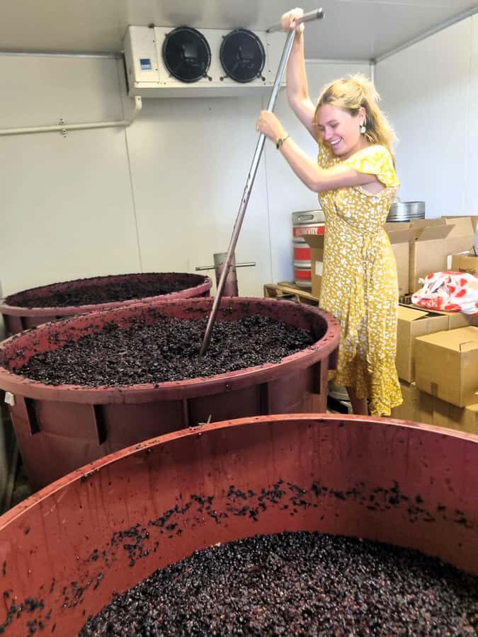 From Sydney: Hunter Valley Beer & Wine Group Tour - The Real Benefits for Travelers