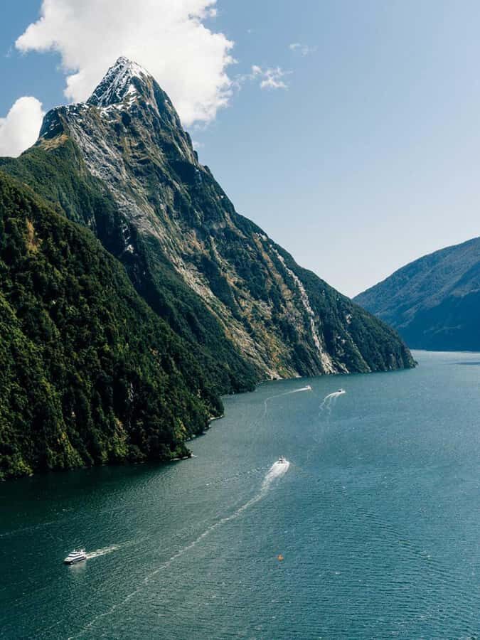 From Wanaka: Milford Sound Flight with Landing & Glaciers - Who Will Love This Experience?