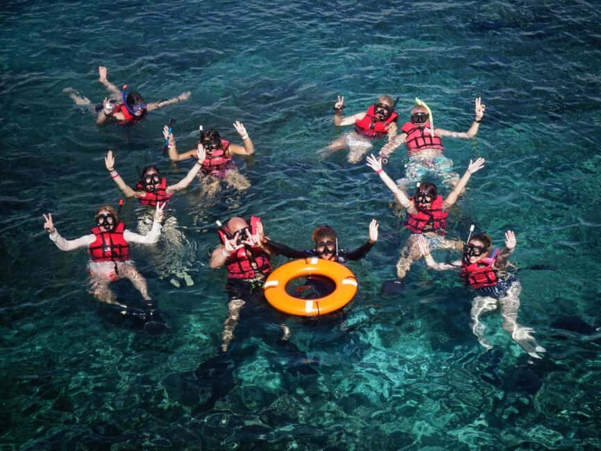 Full-Day Catalina Island With Scuba Diving - How the Tour Compares in Value