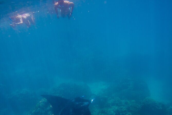 Full Day Combo Snorkeling with Buffet and Bora Bora ATV Tour - The Itinerary in Detail