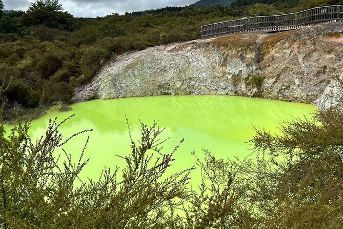 Full-Day Driver with Tesla Car-Customisable North Island Tour - Who Will Love This Tour?