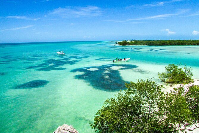 Full Day Holbox Island Tour from Cancun with Lunch - Who Should Consider This Tour?