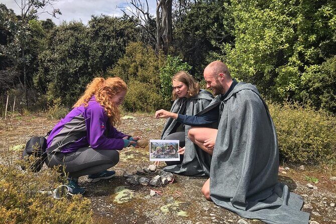 Full Day in Middle Earth - Lord of the Rings Tour - Why This Tour Works for Travelers