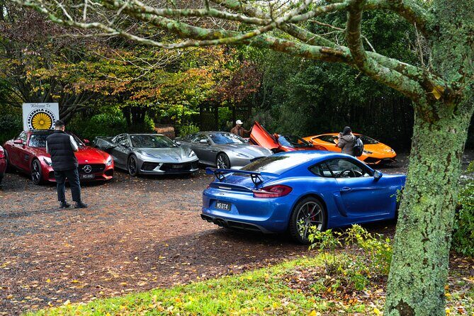 Full-Day Supercar Drive Experience from Auckland (lunch included) - The Itinerary in Detail: What Makes This Day Special?