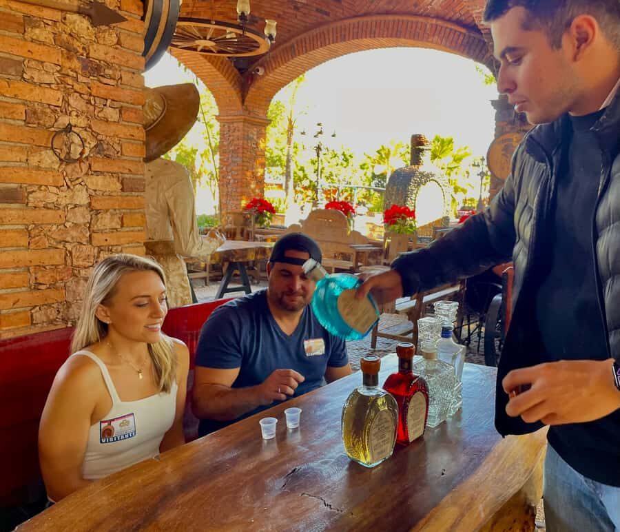 Fully-Private Half-Day Tequila Tour - What Travelers Say