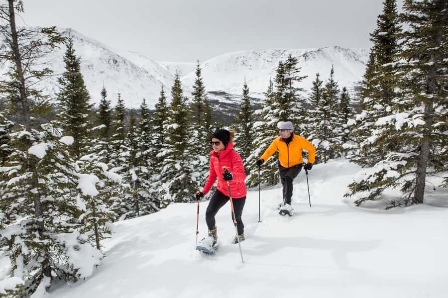 Gaspésie: National Park Entry Ticket with Snowshoe Rental - Who Is This Tour Best For?