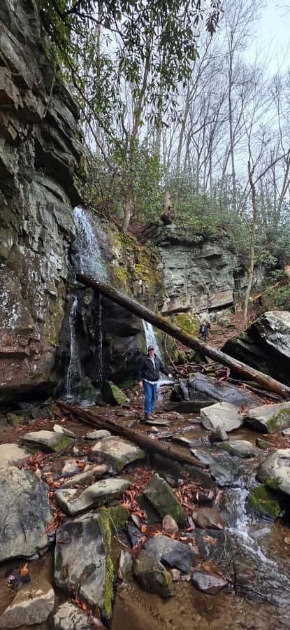 Gatlinburg: Great Smoky Mts National Park Waterfall Tour - Who Would Love This Tour?
