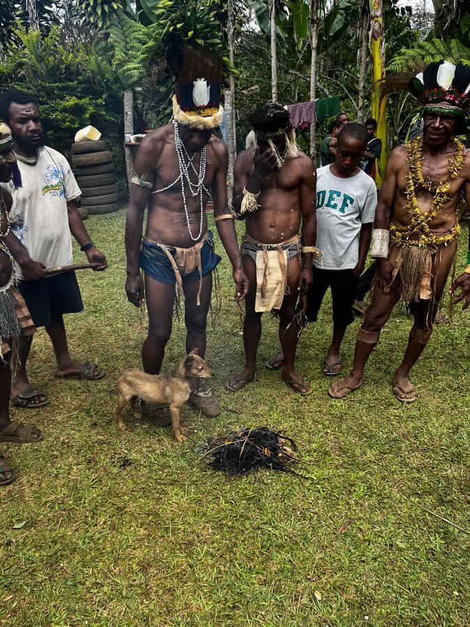 Goroka: Kameufa village tour with traditional dance - What Makes This Tour Special?