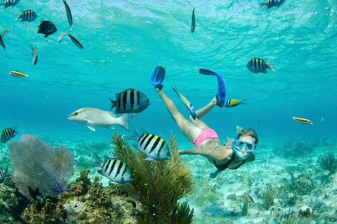 Grand Cayman 3-Stop Snorkel Adventure: Stingray City & Reefs Tour - The Sum Up