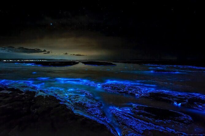 Grand Cayman Bioluminescent Bay Tour - What Do the Reviews Say?