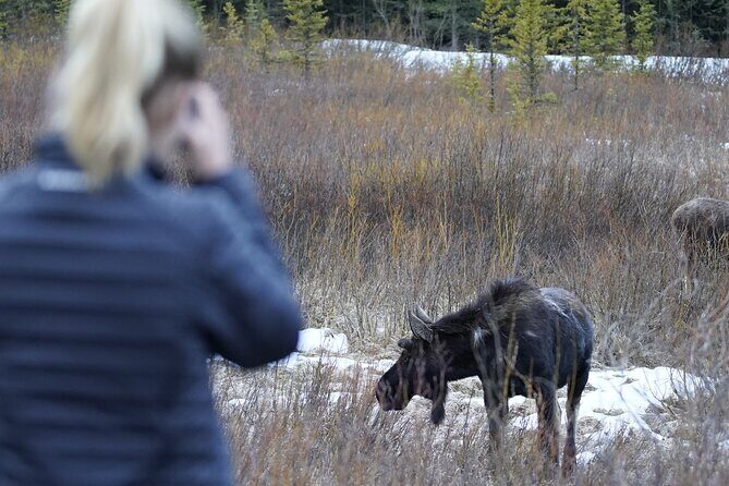 Grand Teton National Park Private Wildlife Safari - Full Day - Who Will Love This Tour?
