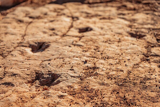 Greater Zion: Dinosaur Tracks in the Desert UTV Tour - FAQs