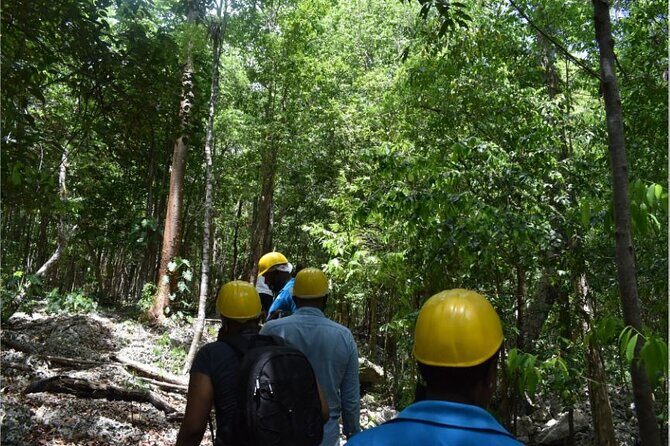 Green Grotto Cave Private Tour - What You’ll Love About This Tour