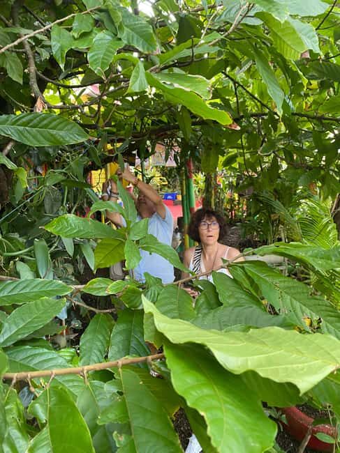 Grenada: Spice and Herb Garden Tour with Beach Visit - Frequently Asked Questions