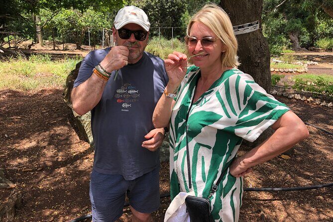 Grenada Spice Gardens, Rum & Chocolate Tour (Full/Half Day) - Transportation & Group Size