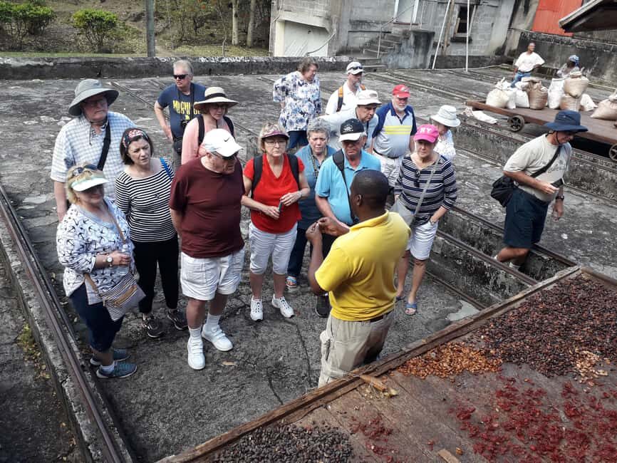 Grenada: Spice Island Expedition. - What You Can Expect From the Tour