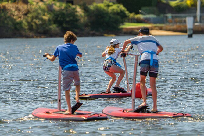 Guided Step-Up Paddle Board Tour of Narrabeen Lagoon - Who Should Consider This Tour?