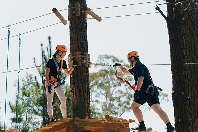 Guided Tree Ropes Course Experience in Majura Pines - Unpacking the Experience: A Closer Look