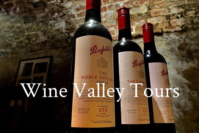 Hahndorf Tours with the Adelaide Hills wine tasting experiences. - Who Should Consider This Tour?
