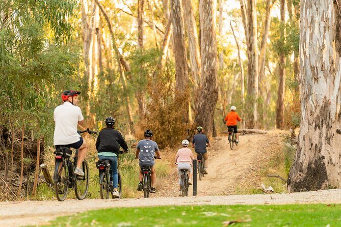 Half Day E-Bike Hire Echuca - What Makes the Experience Stand Out?
