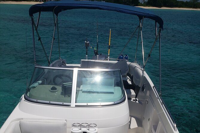 Half-Day Private Stingray City Charter in Cayman Islands - Experience and Equipment