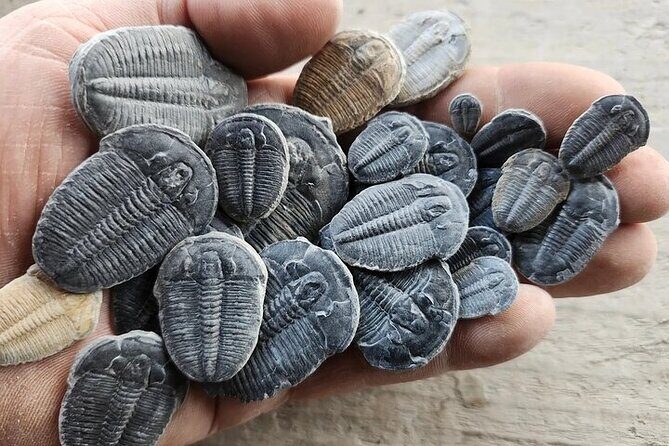 Half Day Quarry Access - What Travelers Love about This Tour